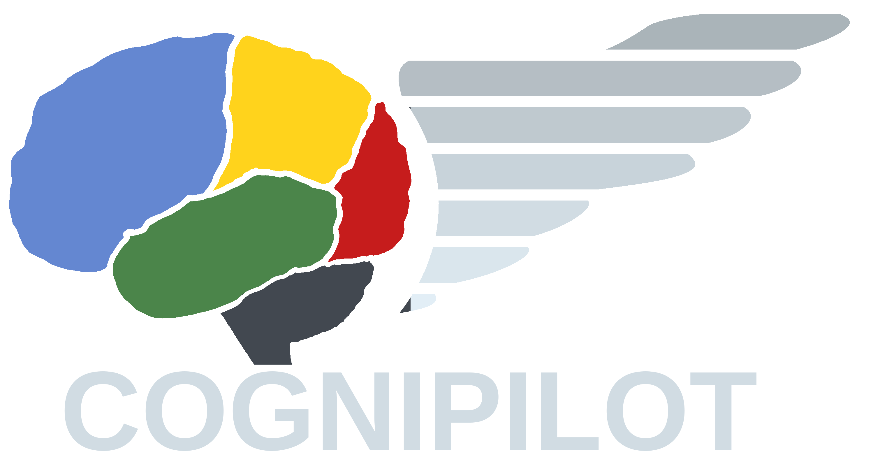 CogniPilot